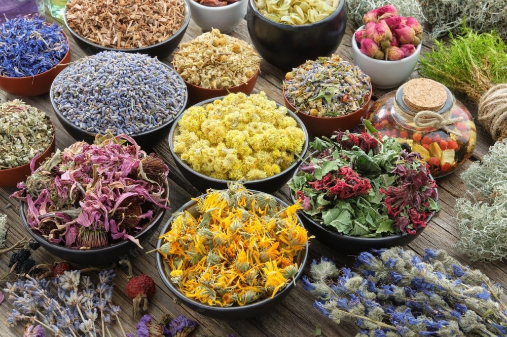 Phytothérapie, Aromathérapie et Gemmothérapie